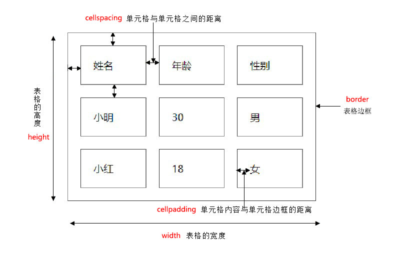 07table表格属性.png