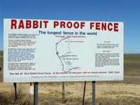 Mortal Fibonacci Rabbits - 图2