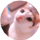 06讲Stream如何提高遍历集合效率 - 图20