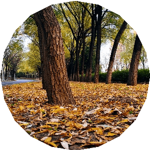 43讲如何使用缓存优化系统性能 - 图10