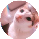 06讲Stream如何提高遍历集合效率 - 图21