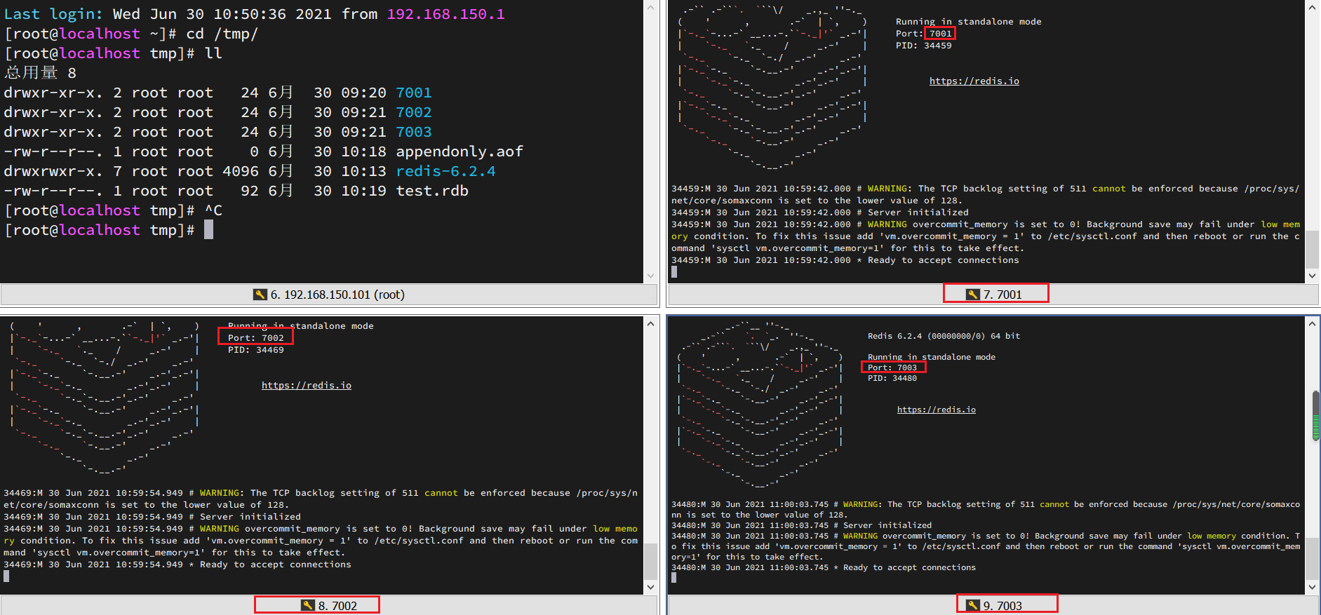 Redis08 集群搭建 - 图6