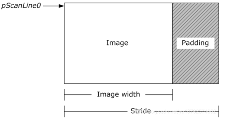 image.jpeg