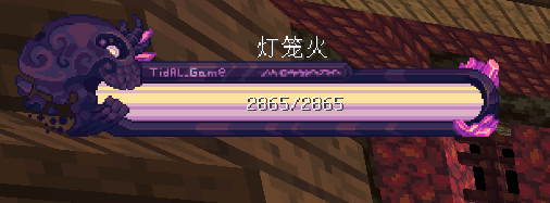 灯笼火 - 图1