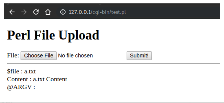 perl网页文件+ARGV上传造成任意文件读取（xctf-i-got-id-200） - 图10