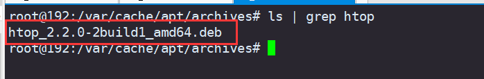 debian10系统安装包依赖问题 - 图1