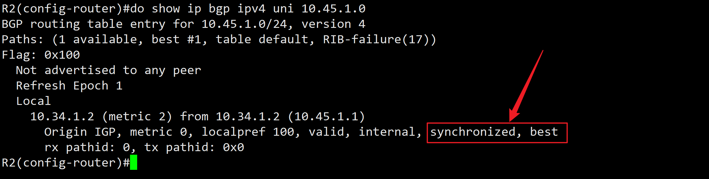 实验01 BGP Synchronization - 图12
