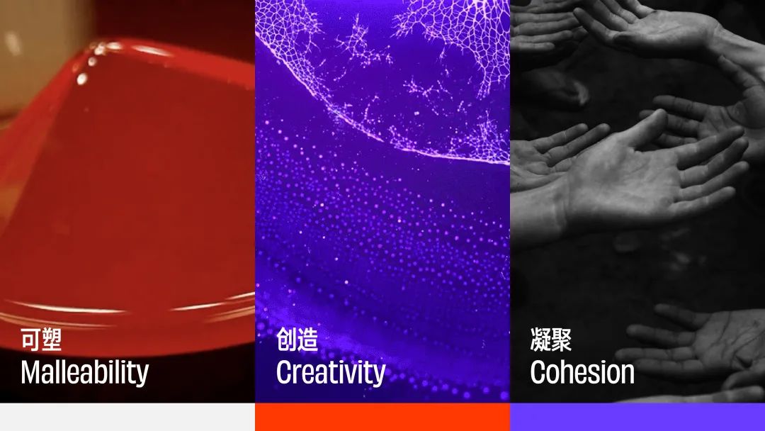 字节｜这是个“务实又浪漫”的团队，很高兴遇见你～ - 图4
