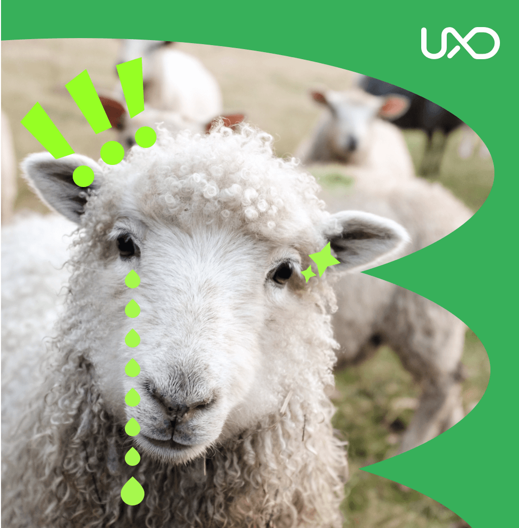 58 UXD | 做具有商业价值回报的运营活动，让羊毛党也发光发热！ - 图1
