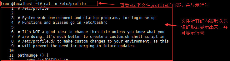 Linux笔记 - 图17