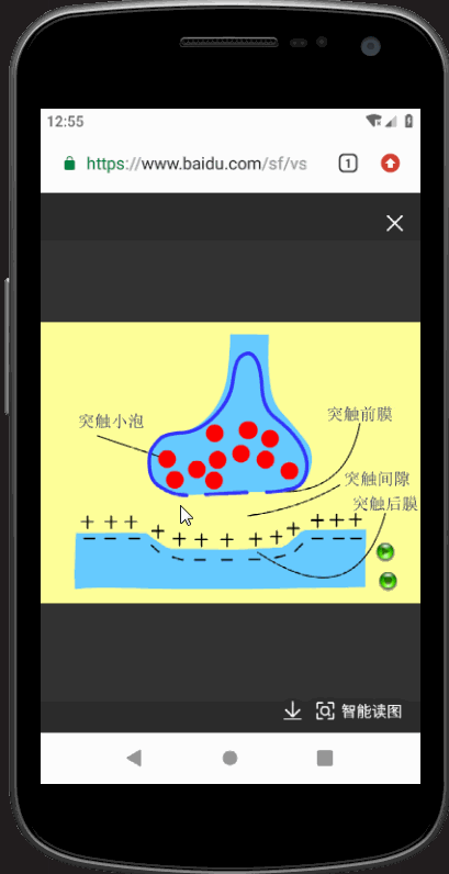 AnkiDroid 用户福音！Anki 涂鸦制卡正式发布！ - 知乎 - 图2