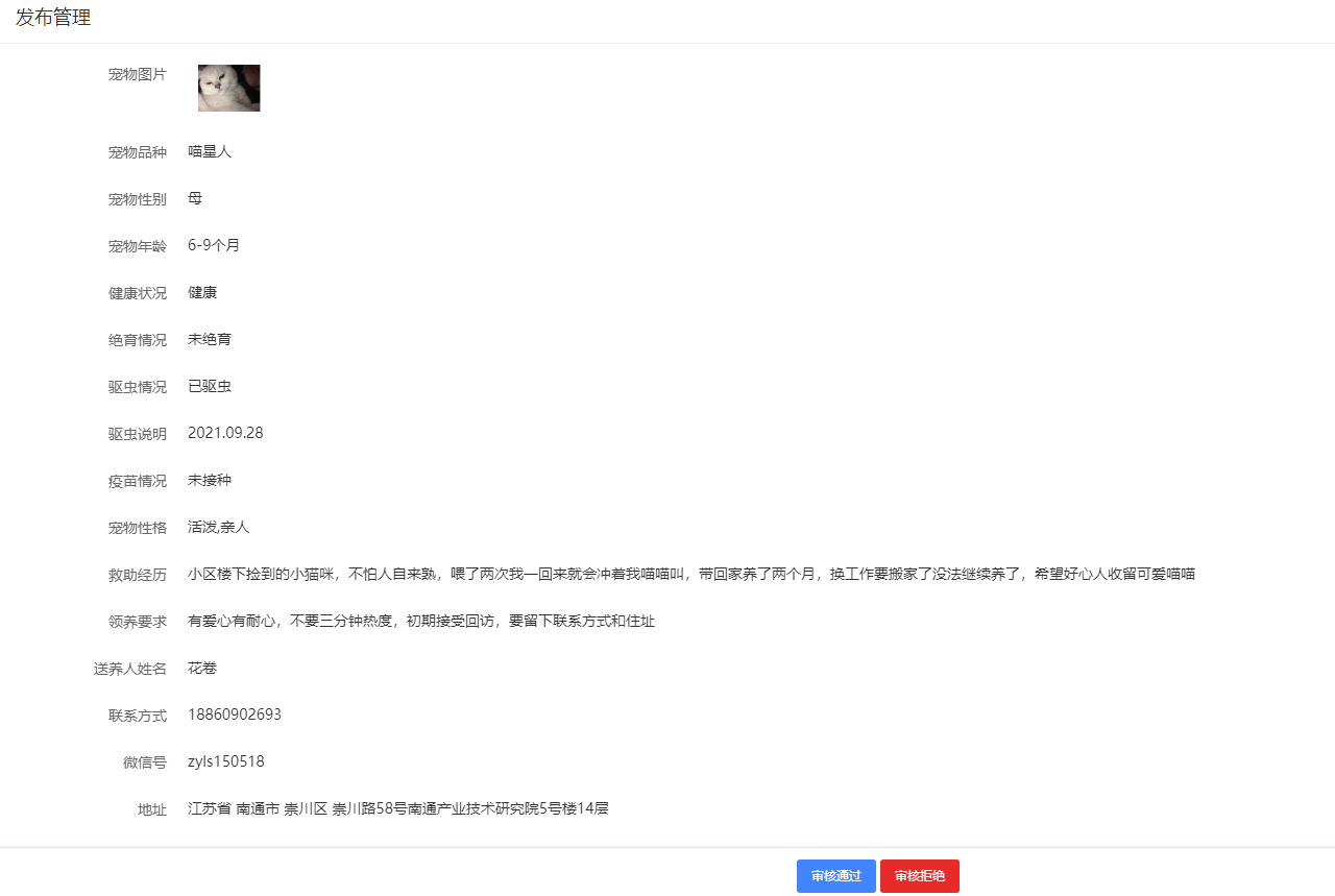 宠物领养 - 图5