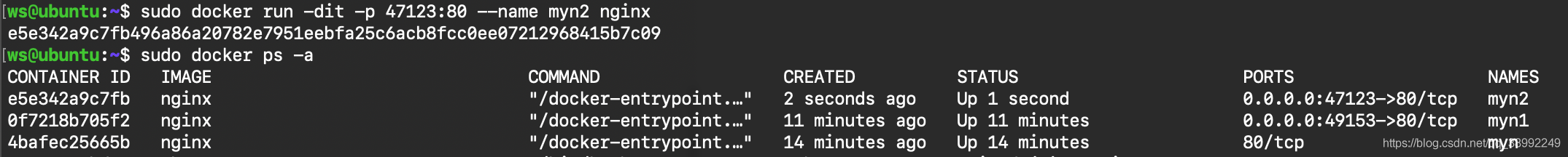 Docker网络管理 - 图3