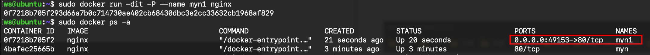 Docker网络管理 - 图1