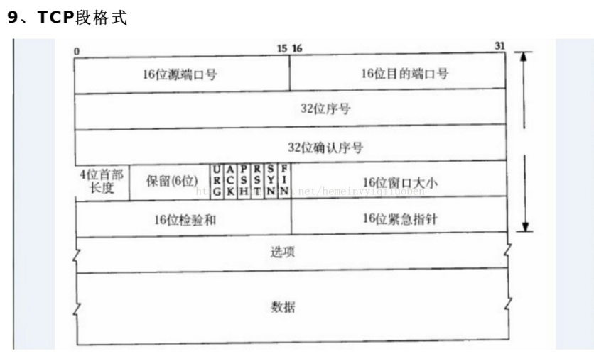 报文格式_40_TCP帧格式.png