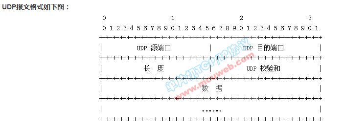 报文格式_41_UDP帧格式.png