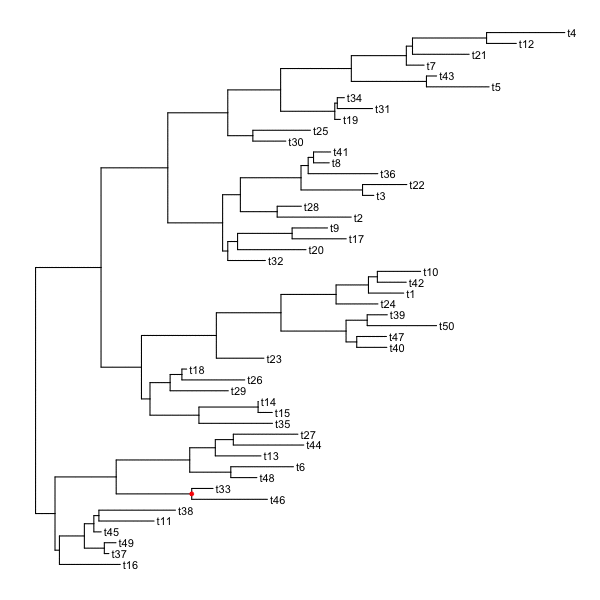 image.gif