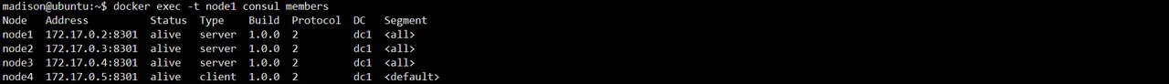 基于Docker + Consul + Registrator的服务注册与发现集群搭建 - 图8