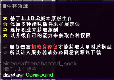 新手玩家想玩服务器应该干什么？ - 图5