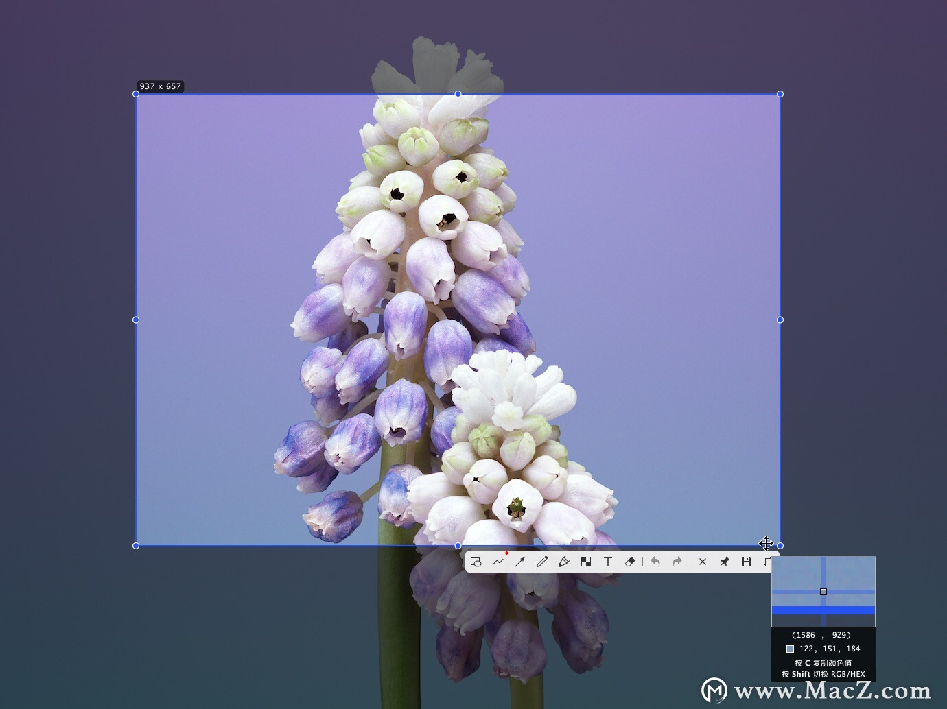 Snipaste for Mac(好用的截图软件)v2.6.6beat 2中文版 - 图1