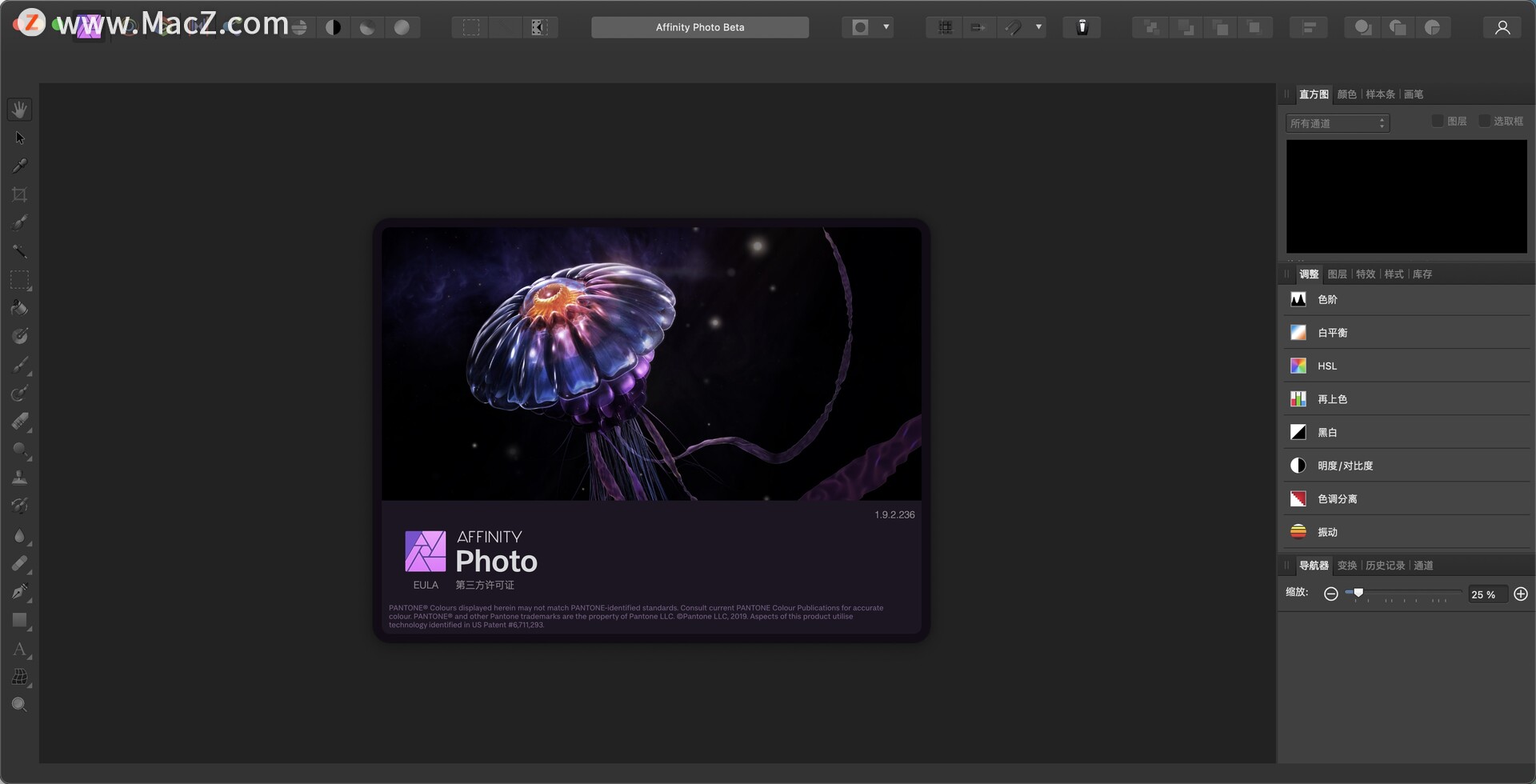 Affinity Photo for Mac(媲美PS的专业级修图软件)v1.9.2.236中文免激活版 - 图1