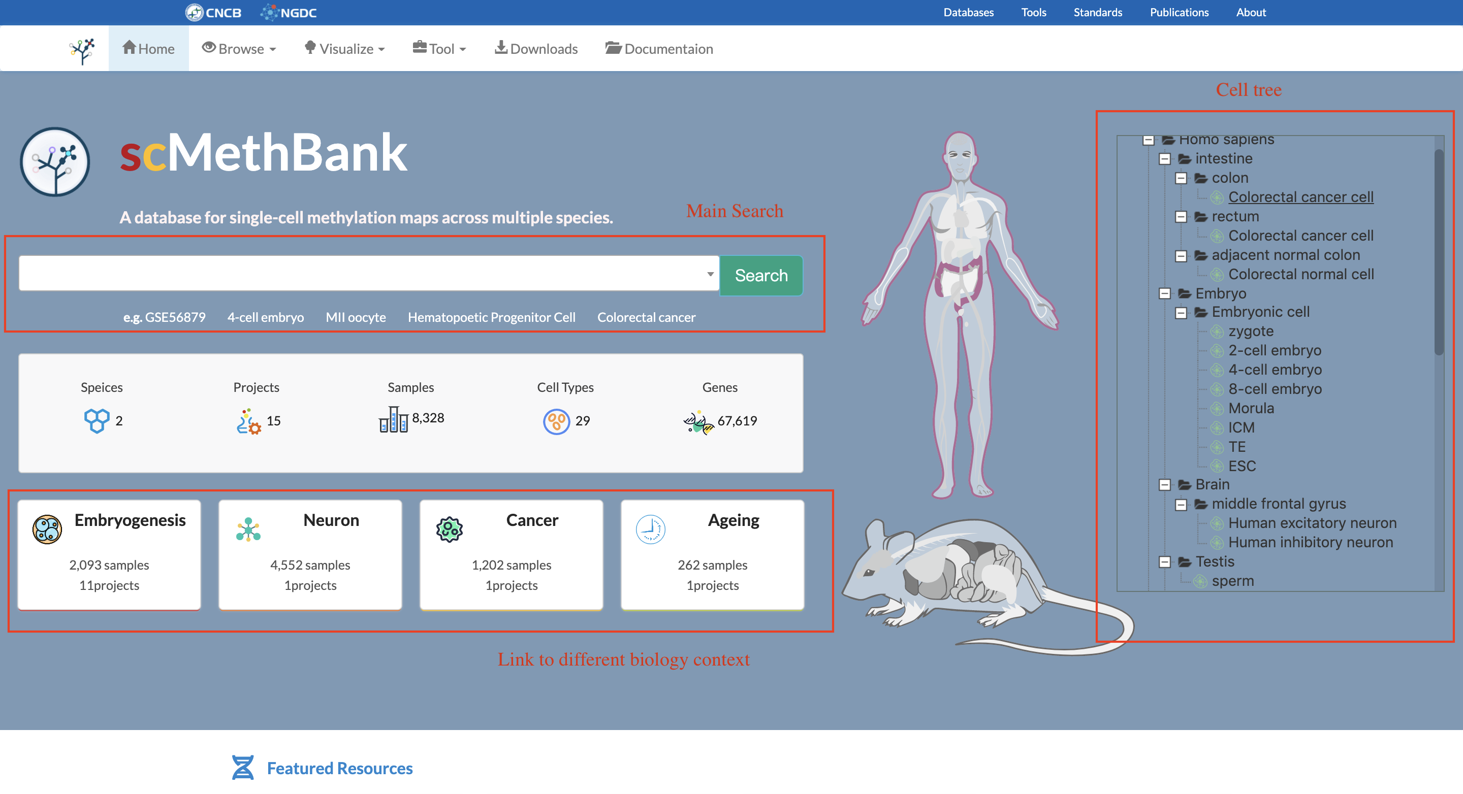 scMethBank-Documentation - 图3