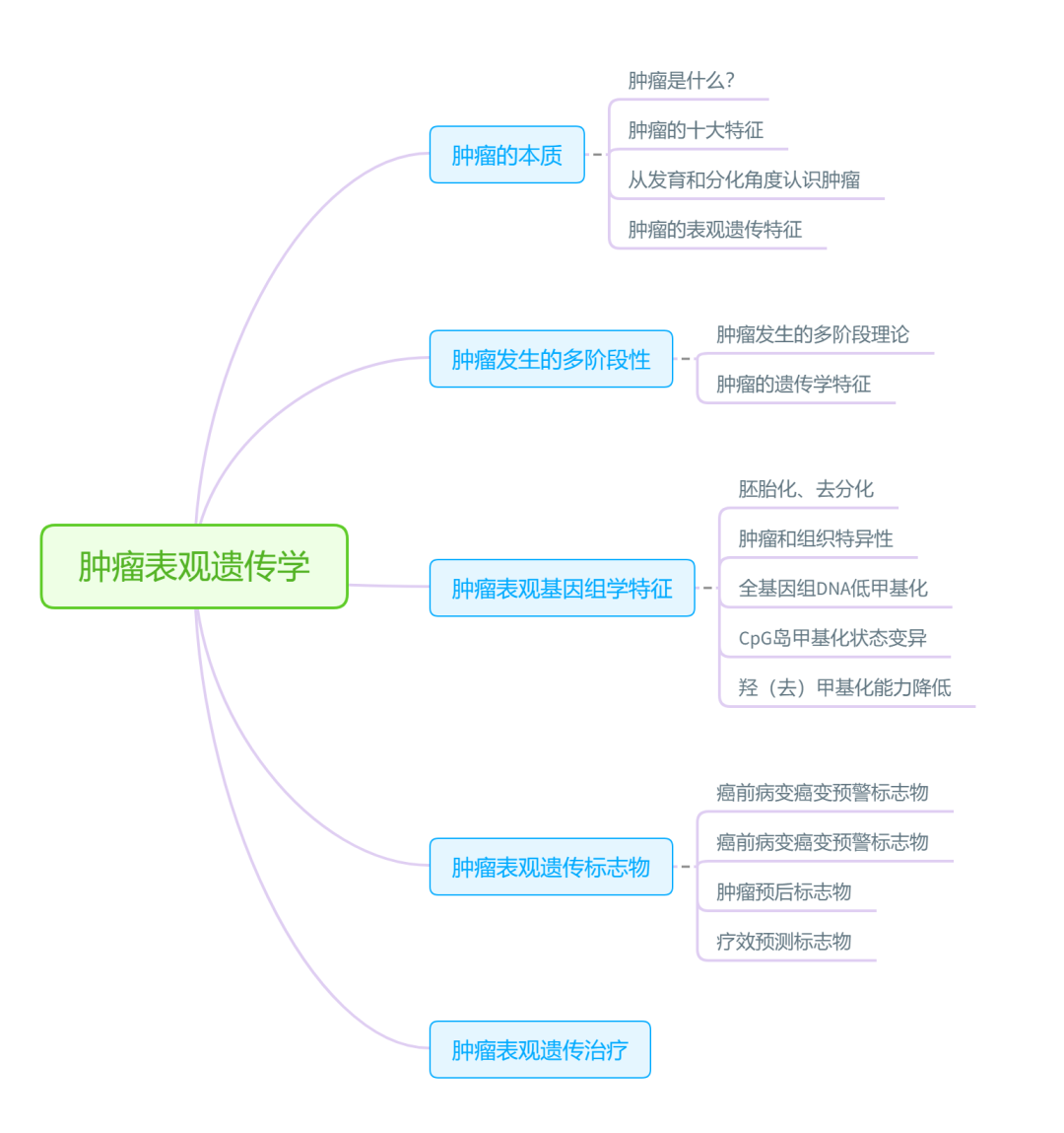 肿瘤的表观遗传学（2万字深度总结） - 图1