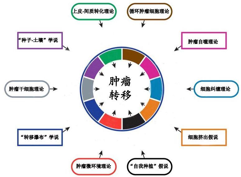 深读 | 给 DNA 甲基化检测装上 GPS，看肿瘤细胞如何变花样 - 知乎 - 图15