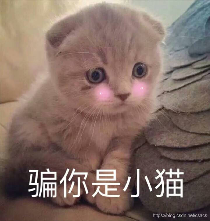 Spring框架漏洞复现大杂烩！！！_SoulCat-CSDN博客_spring漏洞 - 图9