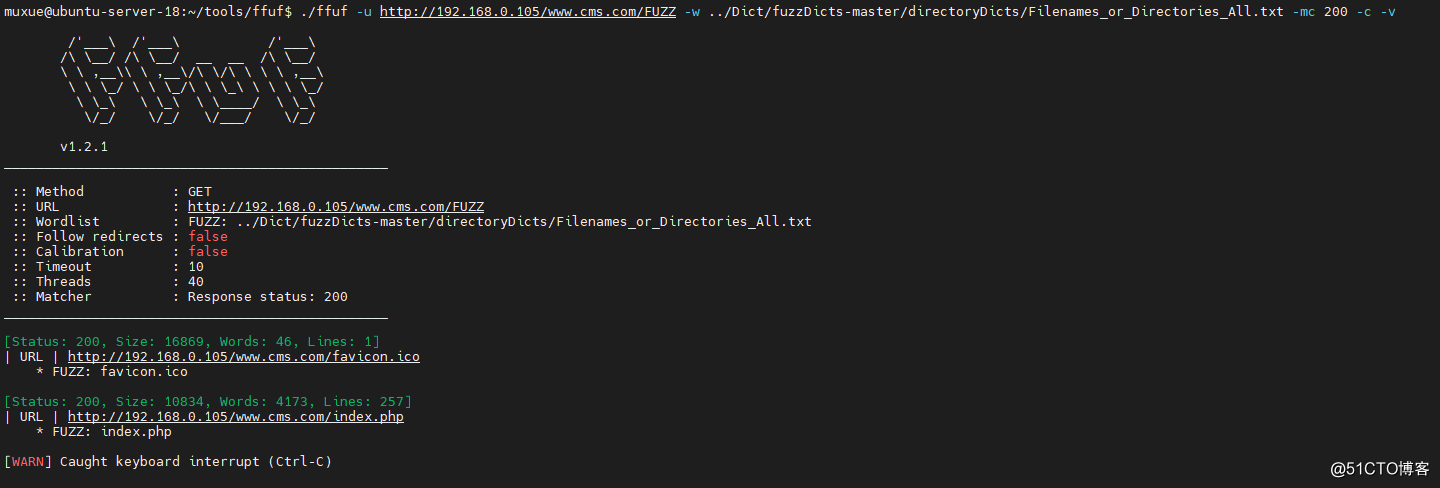 ffuf 基础食用指南_mb6066e165689bf的技术博客_51CTO博客 - 图17