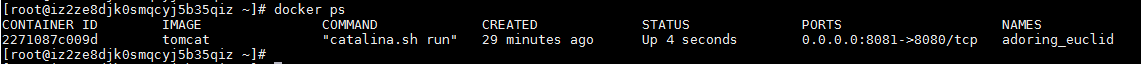 在Docker中安装tomcat - 图12