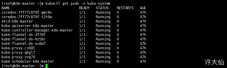 kubernetes集群在启动之后，集群中的各个组件也都是以Pod的方式运行的.png