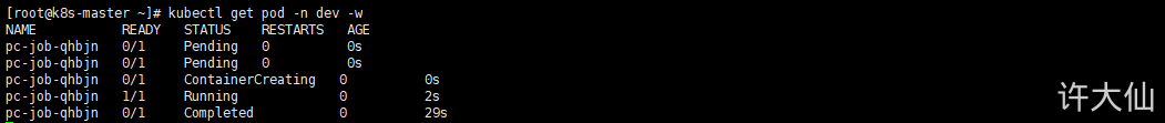查看Job之查看Pod.png