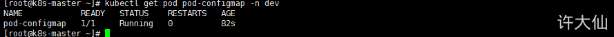 ConfigMap之查看Pod.png