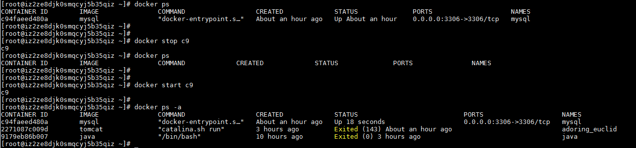 在Docker中安装mysql - 图17