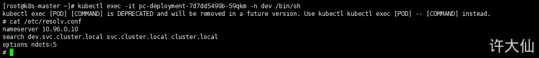 HeadLiness类型的Service之查看域名解析情况.png