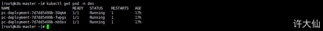 HeadLiness类型的Service之查看Pod.png