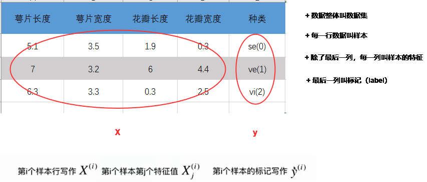 dataset.png