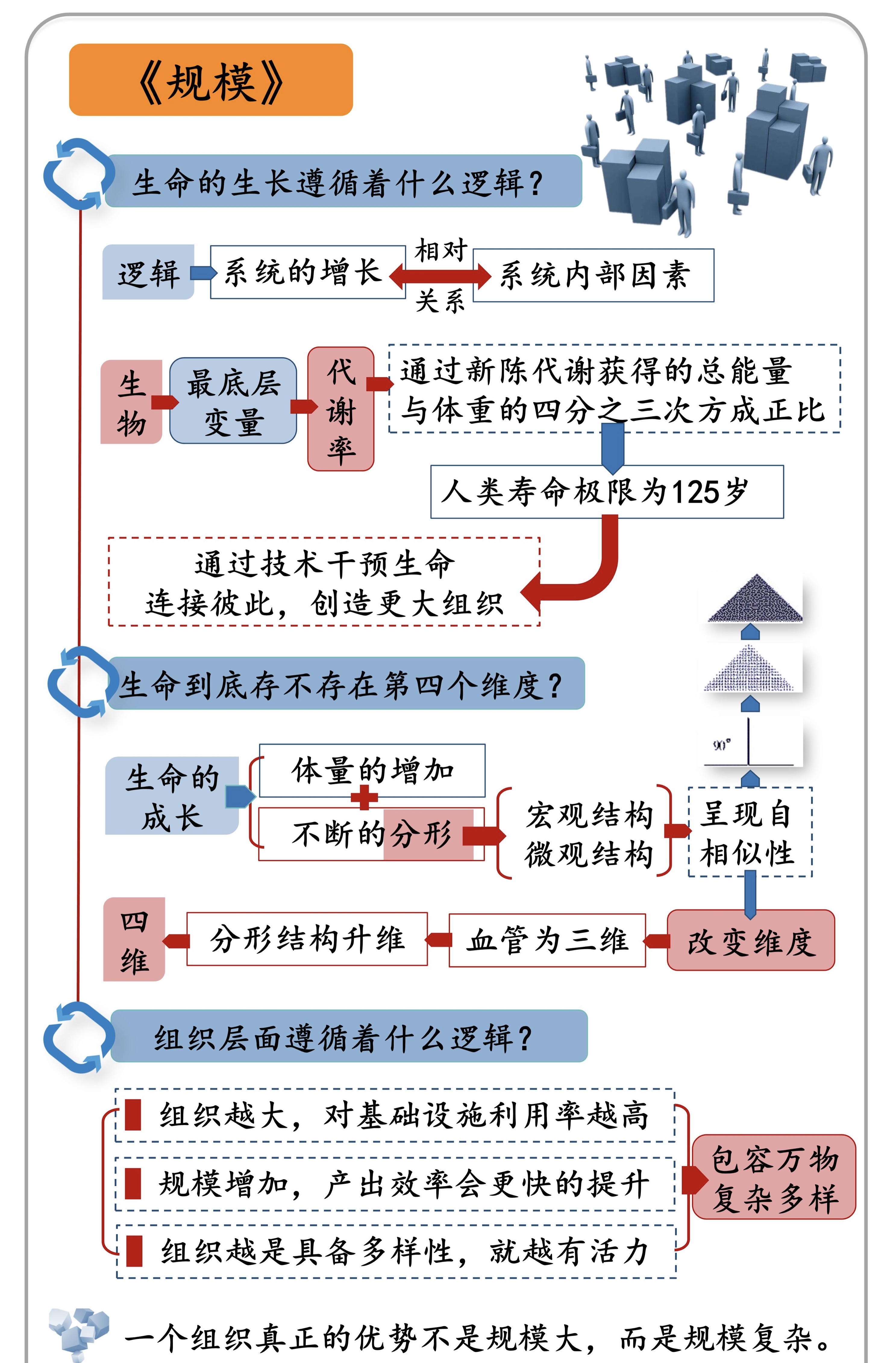 标度律 - 图2