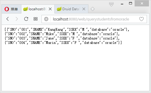 Spring Boot MyBatis配置Druid多数据源 - 图3