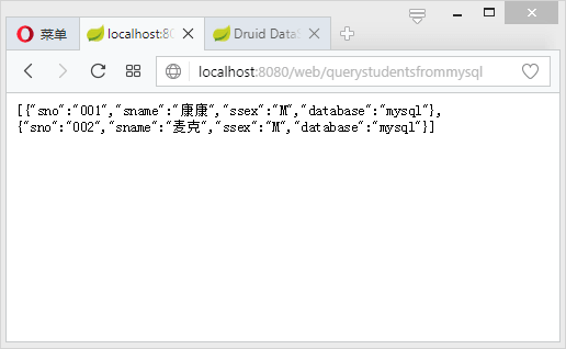 Spring Boot JdbcTemplate配置Druid多数据源 - 图3