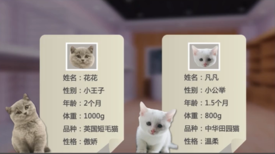 1. Java面向对象 - 图1