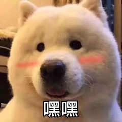 036A6371.png