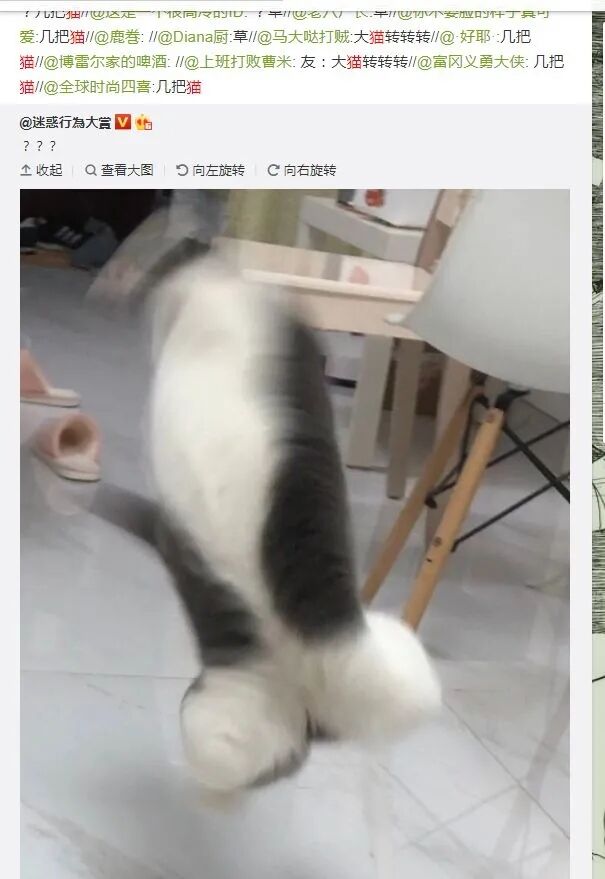 道具 - 图1