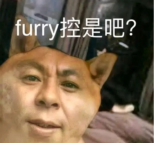 兽类 - 图1