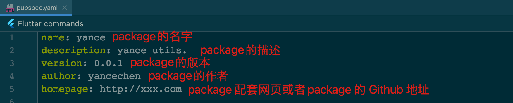 梭哈 Flutter 系列：创建和发布一个 Dart Package - 图13
