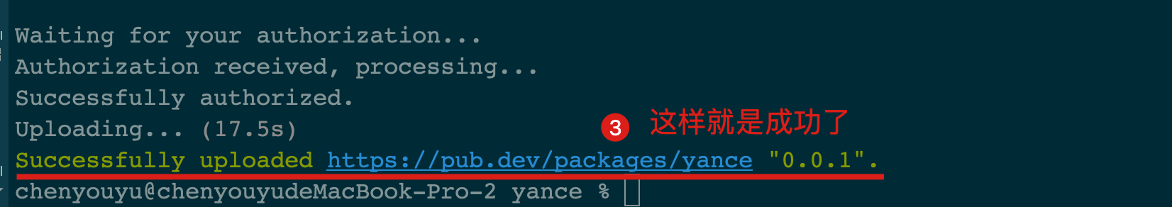 梭哈 Flutter 系列：创建和发布一个 Dart Package - 图18