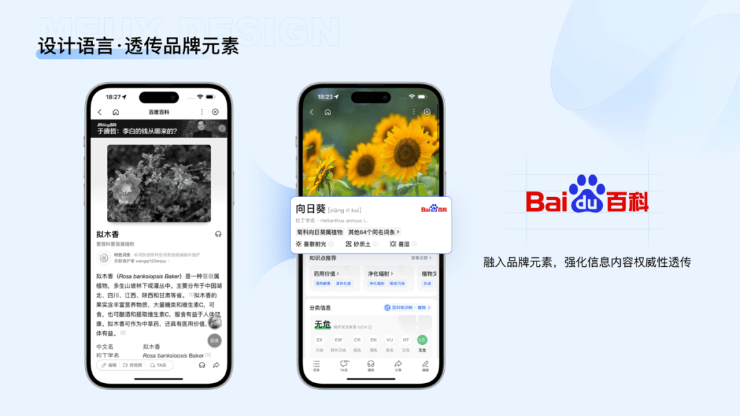 重塑知识探索体验：百度百科设计升级 - 图12