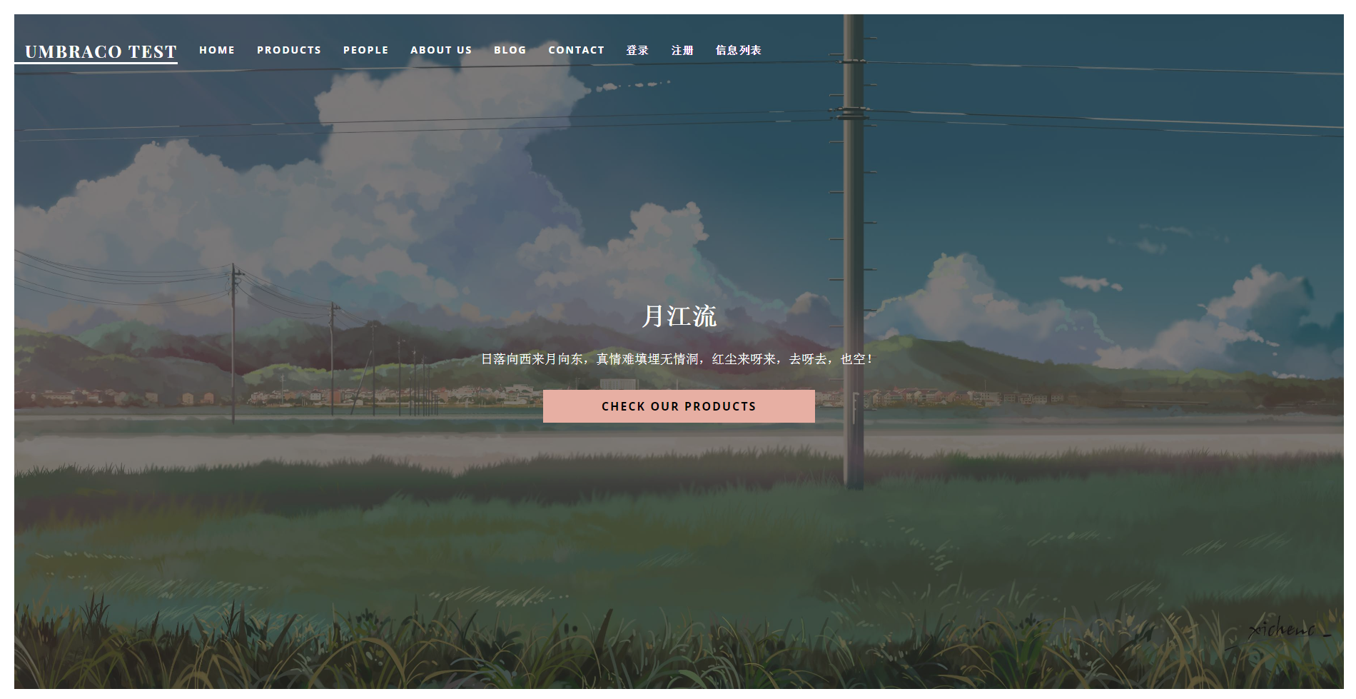 Umbraco 入门 - 图1