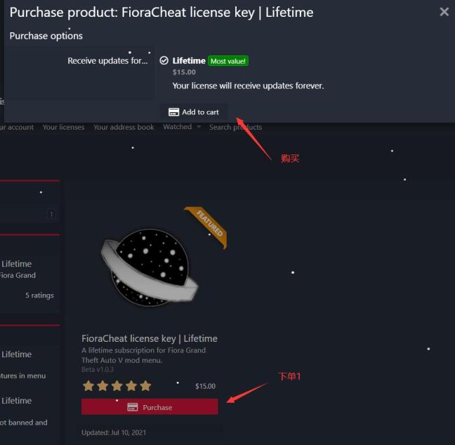 菲拉-Fiora辅助注册激活下载使用教程 - 图3